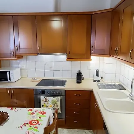 Theofania's Marble House Meteora Apartment