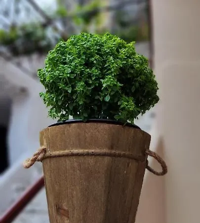 Theofania's Marble House Meteora *